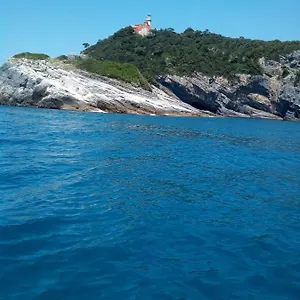 Lavanda , La Spezia Italie